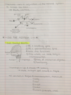 NPB 114 Midterm 2 Study Guide