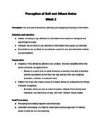 CST 110 - Week 2 Notes - Perception