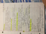 Week 1
