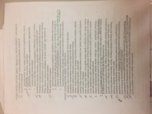 Psych 220 part 2