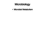Microbiology Week 5 Notes