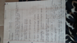 anatomy week 1 notes