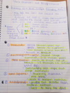 Western Civ: History 101: Week 1 class notes