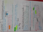 Music Week 2 Notes