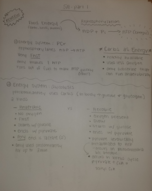 Exercise Physiology Module 5 notes