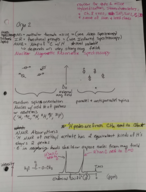 Organic Chemistry 2 NMR Spectroscopy 