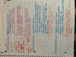 Midterm Study Guide