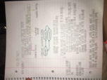 Psy 101 Week 1 Notes, Intro