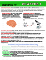Chapter 1 Textbook Notes