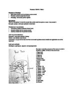 Phonetics Week 1 Notes