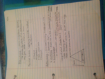POLS 1101, WEEK 1 (8/16)