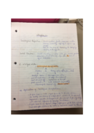 Week 1 Notes - Sociology