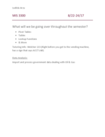 Management Information Systems 3300
