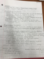 BS113, Week 1 notes