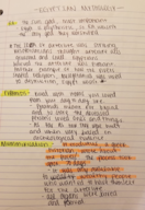 History 101: Western Civilization: Week 2 Notes #3