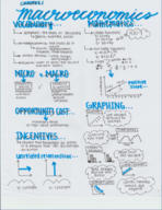 ECON 2013, Week 1 Notes