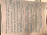 Reading Instruction in the Primary Grades chapter 1 notes