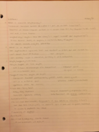 Week 1 Notes