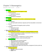 Bioenergetics Notes