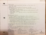 Anatomy Lecture Week 2 Notes (Adrenal Glands)