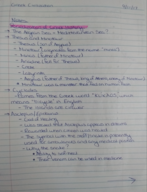 Greek Civilization - 9/11 Notes