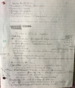 Week 1 & 2