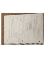 Week 2 Notes