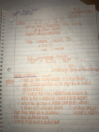 ECO 2013 Week 1 - Class Notes