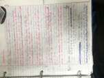 Philosophy Week 2: Socrates