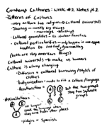 Contemp Cultures