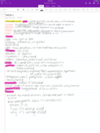 Art History Survey I Week 1 Class Notes