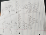 Midterm Study Guide