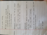 BUAD 311, Week 3, Class 1