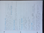 History Week 3 