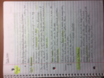 Survey of World History: to 1500 