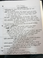 Chapter 1 Notes