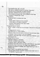 Anatomy Week 2 Notes