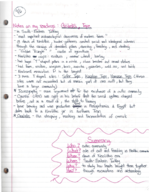 Week 2 class notes, World of Egypt and Near East