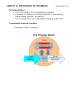 Lecture 1: Introduction to Perception