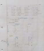 Latin, week 2 notes
