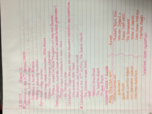WEEK 1 NOTES