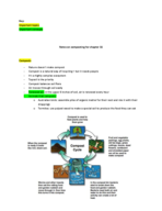 Landform Geography Composting Notes