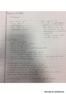 Microbiology Class Notes Week 5 - Bacterial Cell Walls
