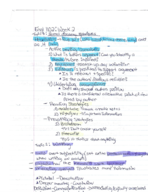 English 1101