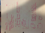 Physics- Week #3