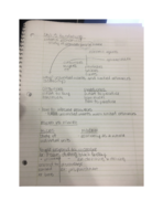Intro to Microeconomics - Chapter 5: Foundation of What is Economics