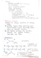 Class notes from week 2 