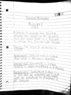 Philosophy Orgin 