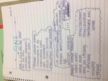 Human Resource Management Intro Notes