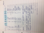 Spanish 1000 Week 1 Notes